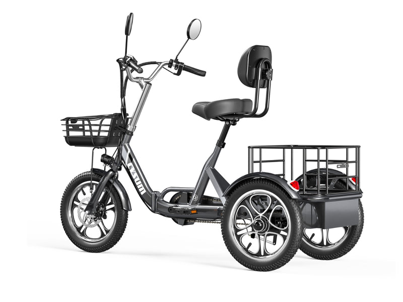 Cargo E-Bike