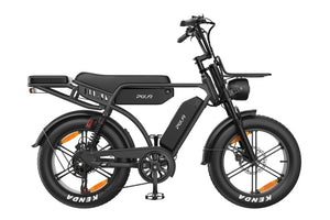 Mountain E-Bike