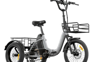 Cargo E-Bike