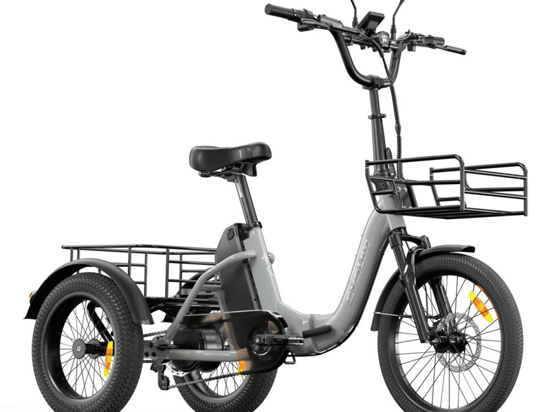 Cargo E-Bike