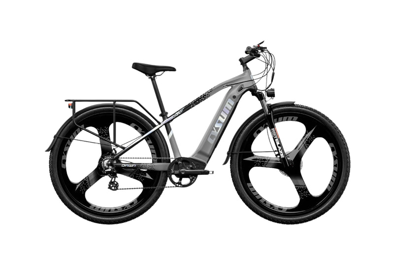 Cysum® Speedy 29"（M520）